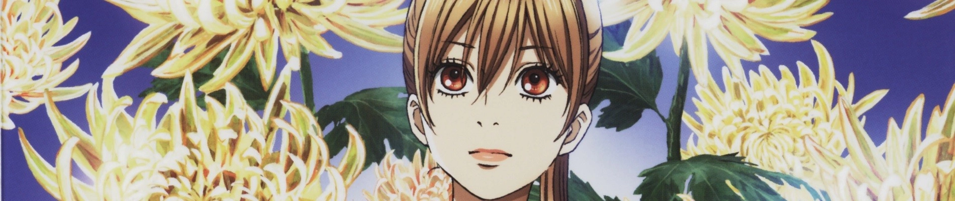 Chihayafuru 2 banner