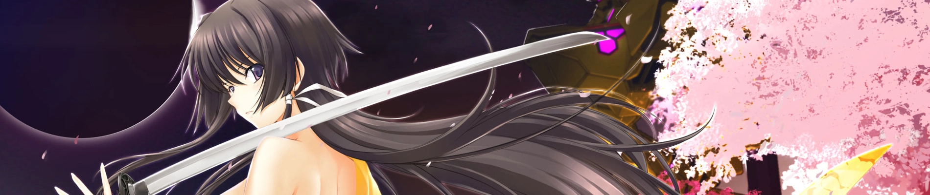 Muv-Luv Alternative: Total Eclipse banner