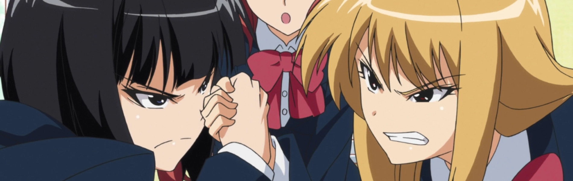 Plastic Neesan banner