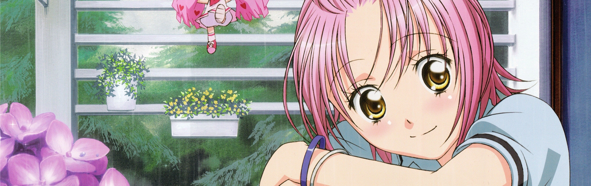 Shugo Chara!! Doki banner