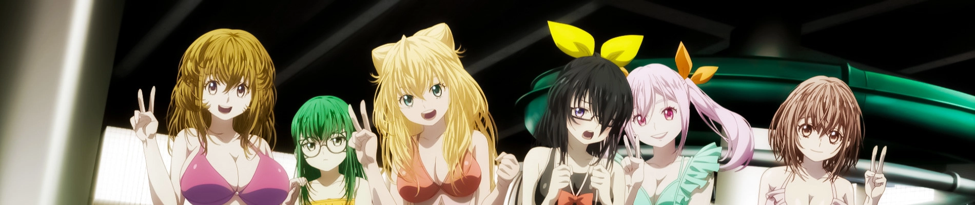 Momentary Lily banner