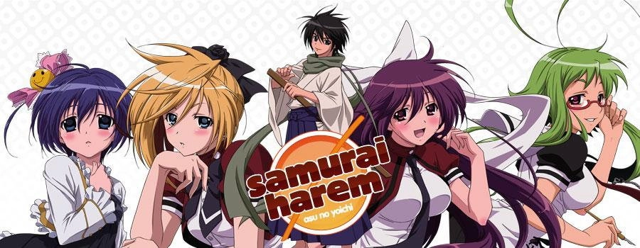 Samurai Harem banner