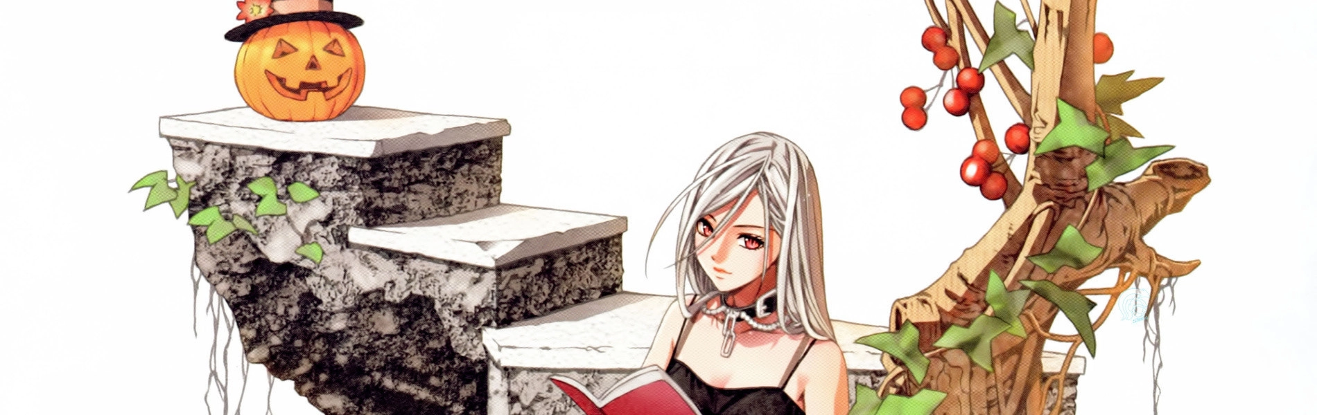 Rosario + Vampire Capu2 banner