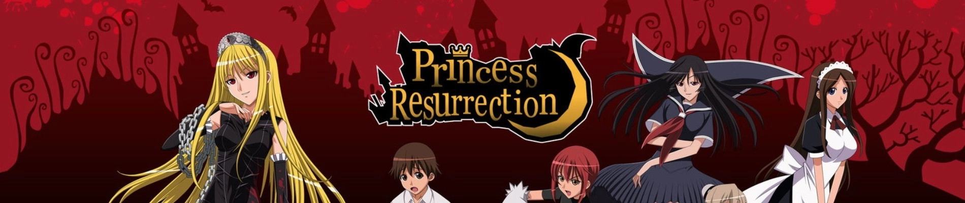 Princess Resurrection banner