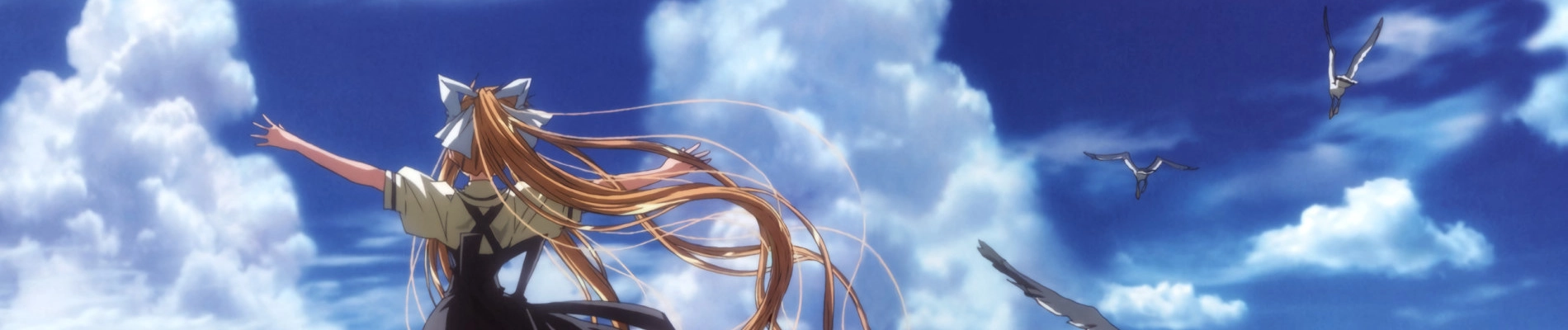 Air banner