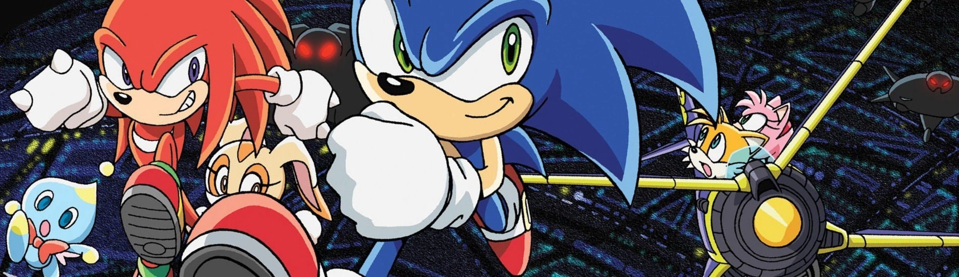 Sonic X banner