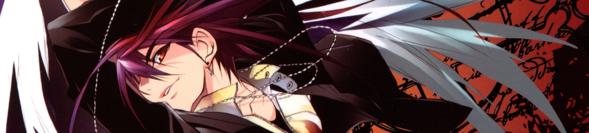 D.N.Angel banner