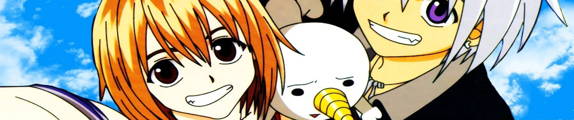 Rave Master banner