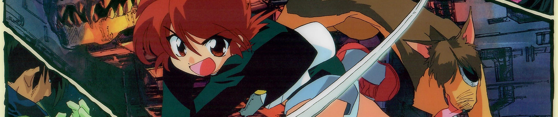 Shin Hakkenden banner