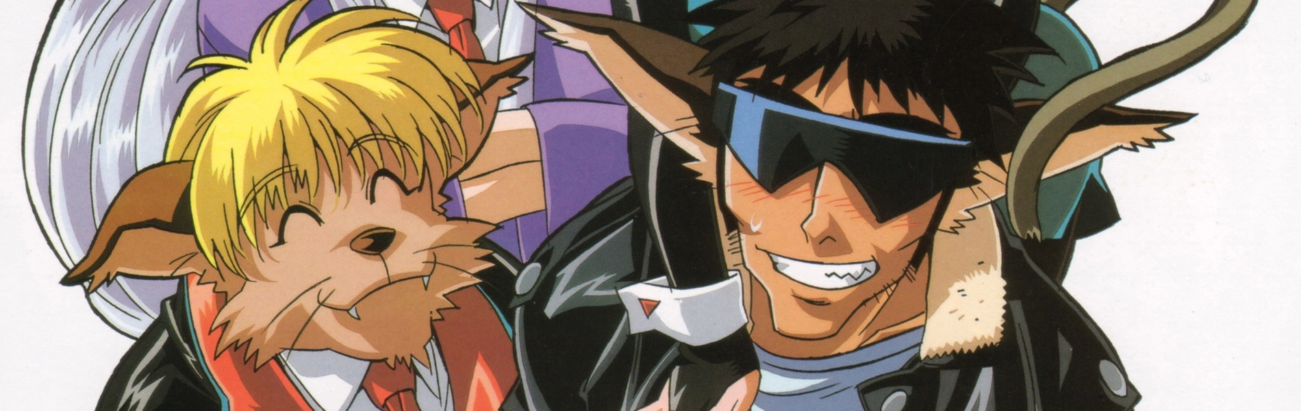 Hyper Police banner