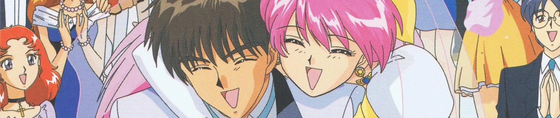 Wedding Peach banner