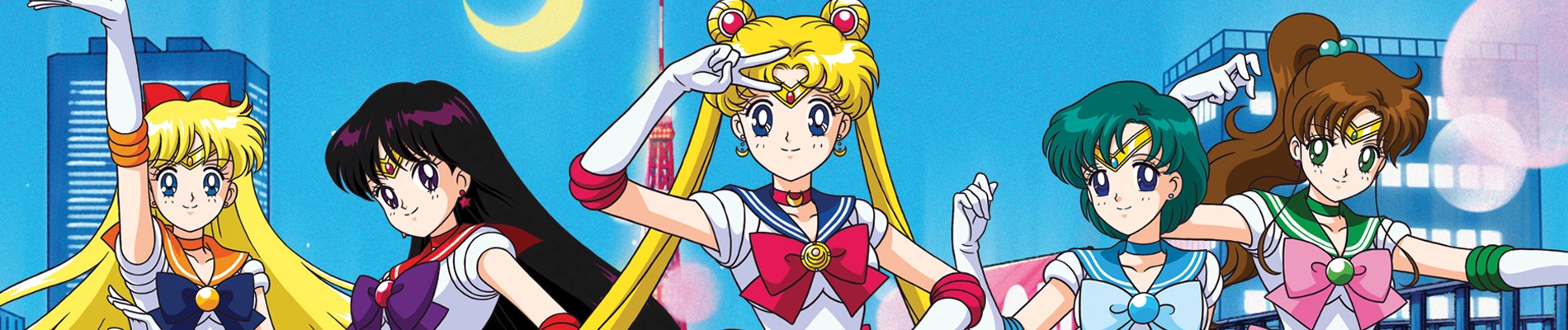 Sailor Moon R banner