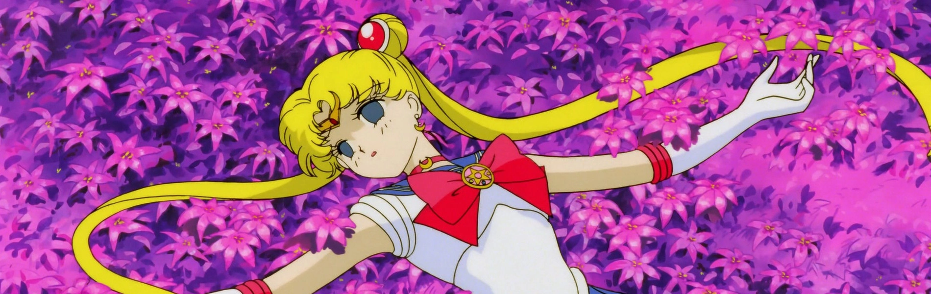 Sailor Moon R: The Movie - The Promise of the Rose banner