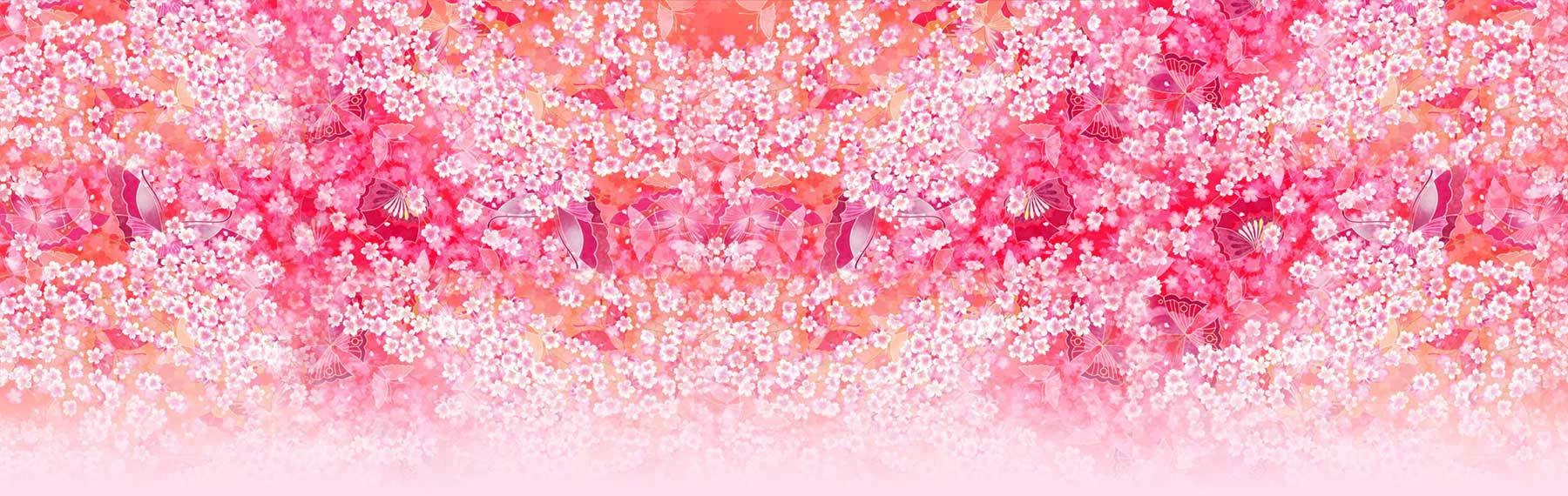 Momokyun Sword banner