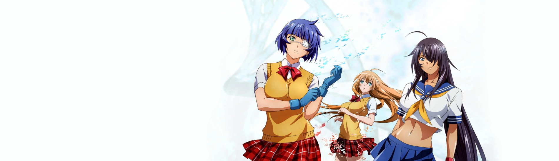 Ikkitousen: Western Wolves banner