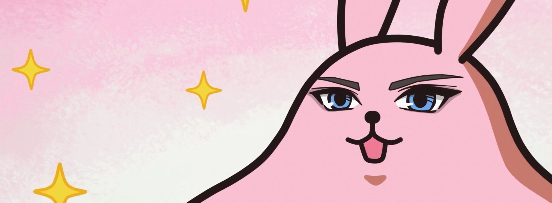 Poccolies banner