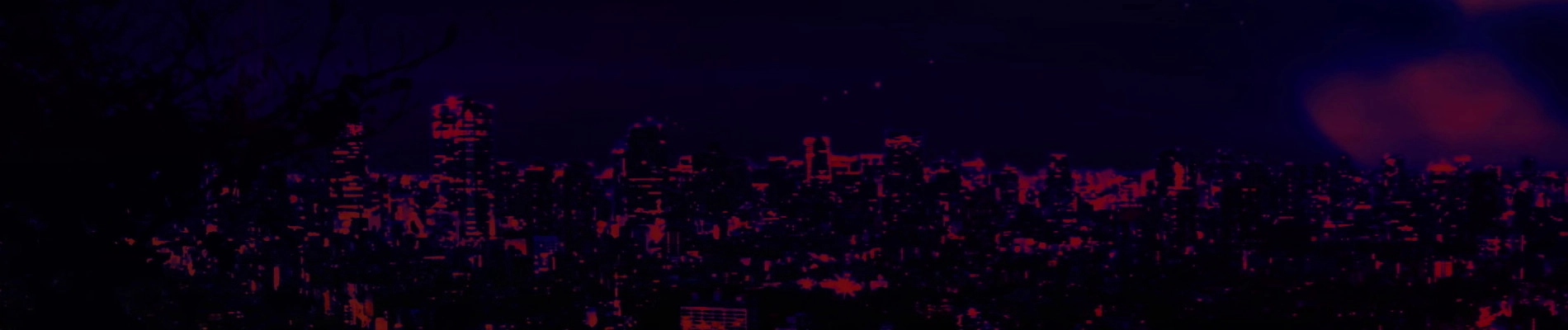 Ninja Collection banner