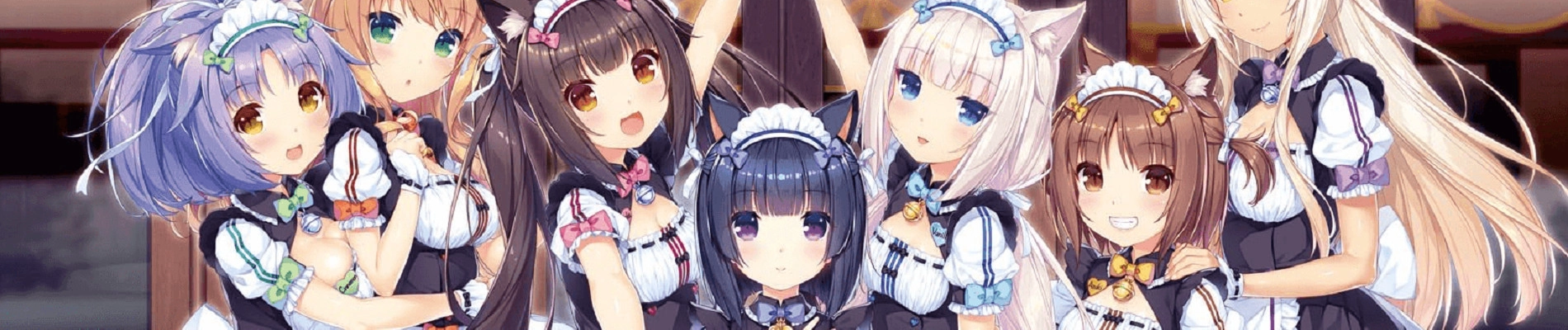 Nekopara banner
