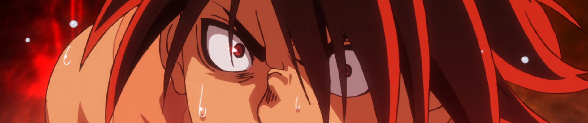 Hinomaru Sumo banner