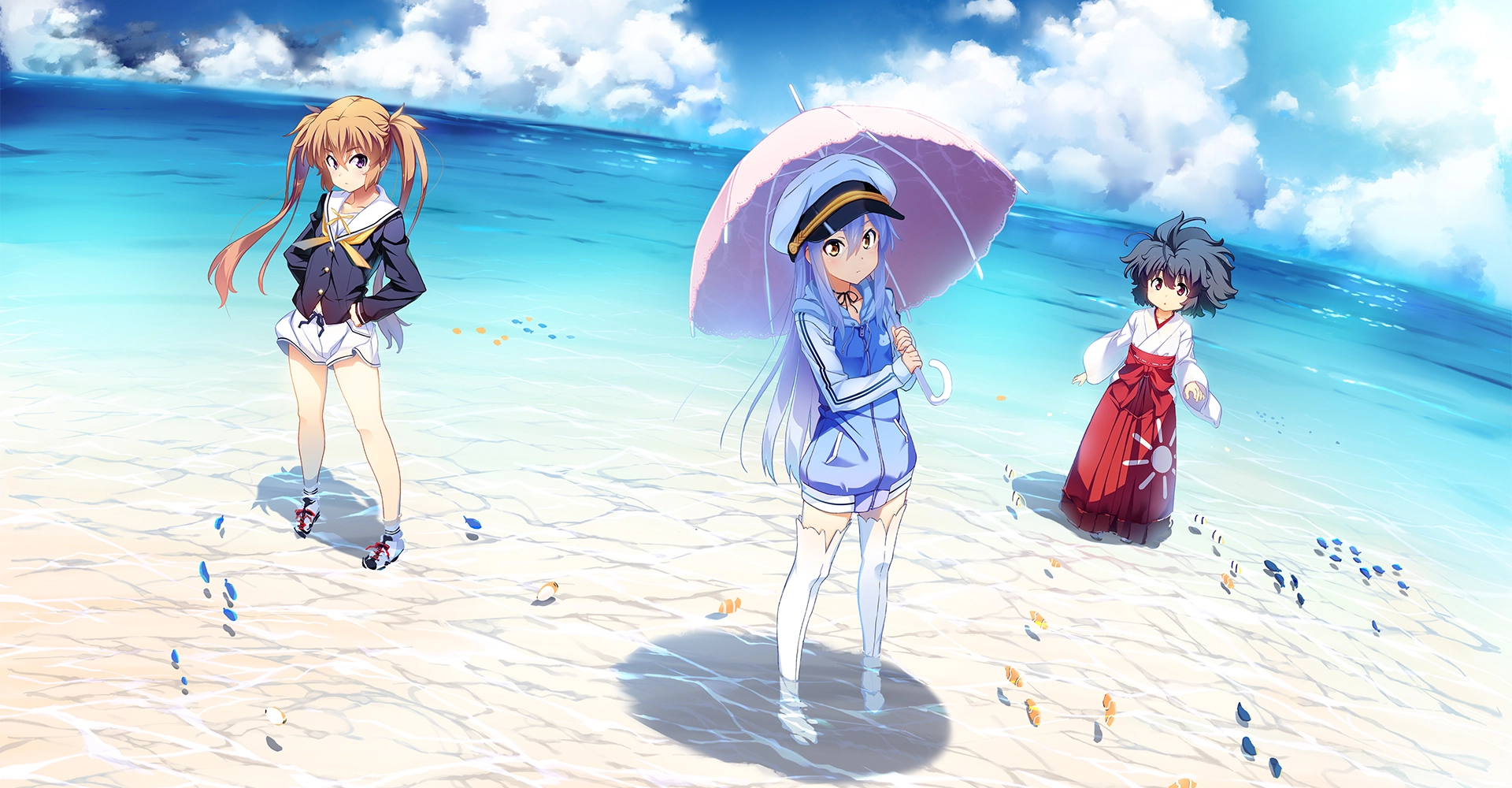Island banner