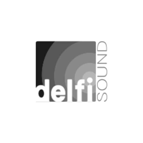 Delfi Sound