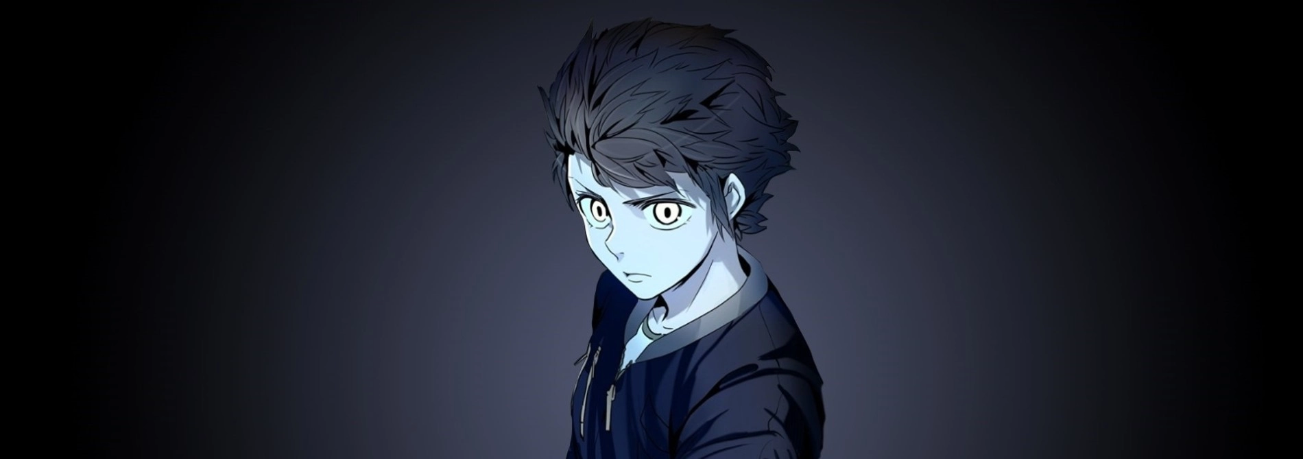Tower of God banner