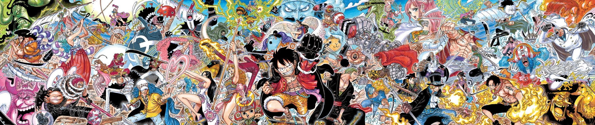 One Piece banner