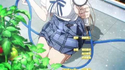 Taiyou to Rainbow (太陽とレインボー)
