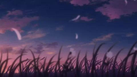 HALO