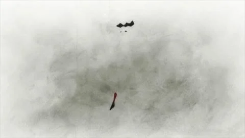 SURVIVE OF VISION