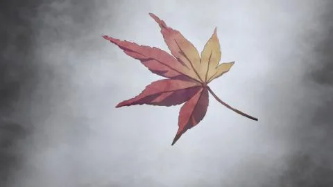 Tsukikage Okuri (月影おくり)