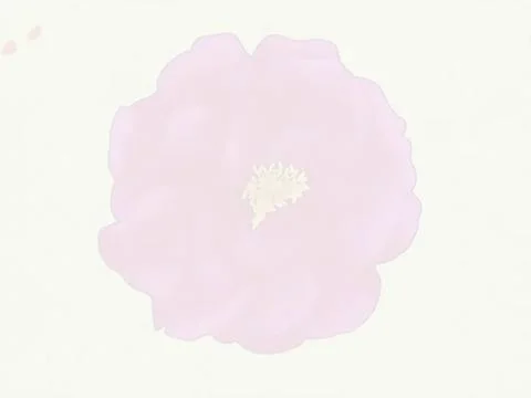pastel pure