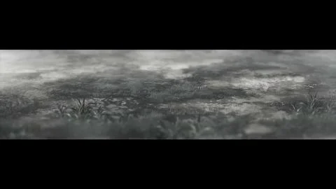 Hakuu (白雨)