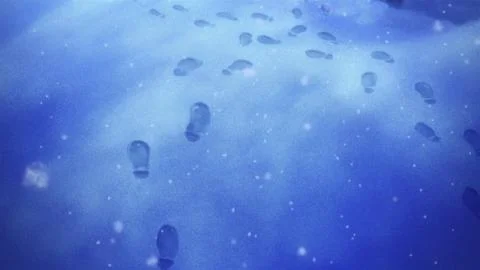 Rokutousei no Yoru (六等星の夜)