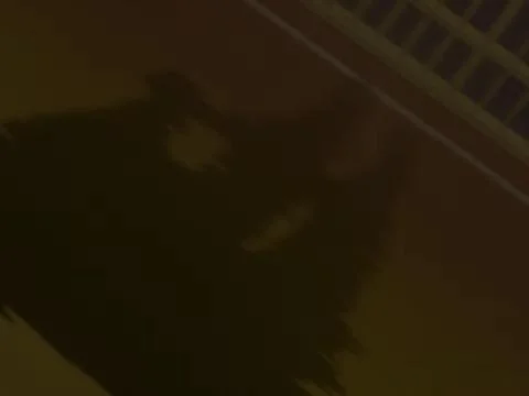 Kasanaru Kage (かさなる影)