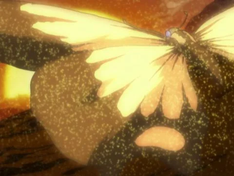 Shura