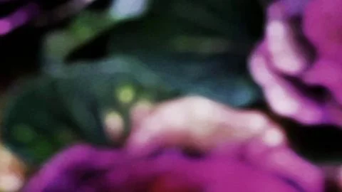 Zetsubō Billy