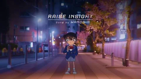 RAISE INSIGHT