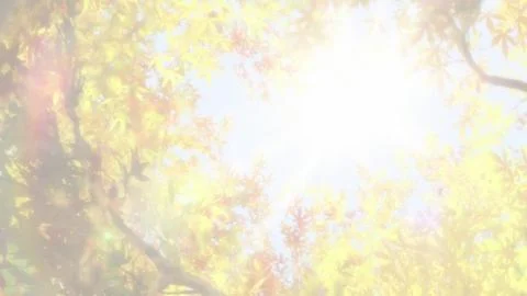 Hanasaku Iroha (はなさくいろは)