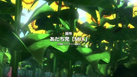 Amaryllis (アマリリス)