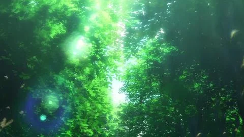 Golden Ray (ゴールデンレイ)