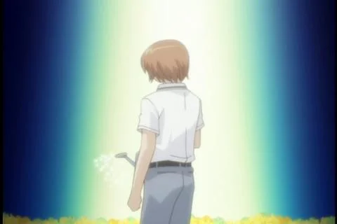 Koi suru kokoro