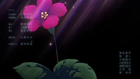 Hachimitsu (ハチミツ)