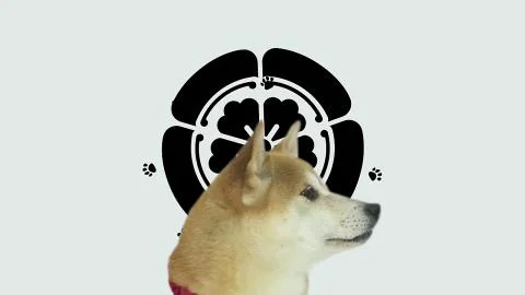 Inusei wa Ichidokiri (犬生は一度きり)