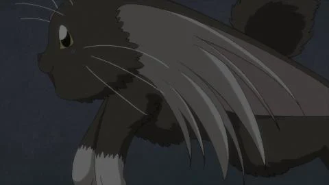 Kokoro Hanabira (ココロハナビラ)