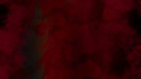 Shugoshin PARADOX (守護心PARADOX)