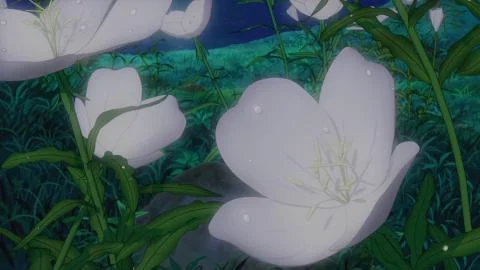 Tsuki Akari