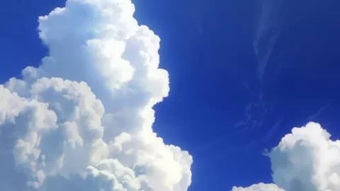 Now or Never (ナウオアネバー)