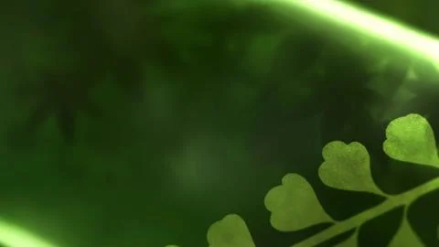 Hana no Kaori wa Kyoushidare (花の薫りは叶枝垂れ)